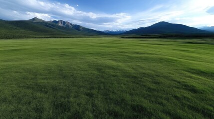 Fototapeta premium Expansive grassy meadow stretches under a clear sky, bordered by majestic mountains. Lush green grass covers the foreground, while distant peaks and a partly cloudy sky complete the scene