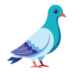 Fototapeta premium Dove isolated on white background