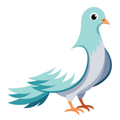 Dove isolated on white background