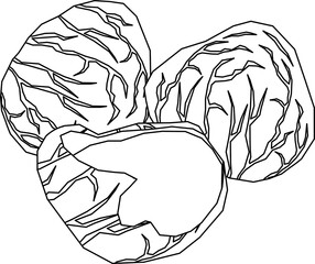 Cooking Ingredients Coloring Pages