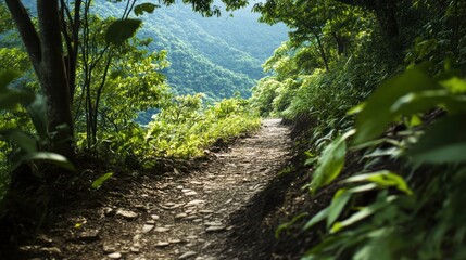 Sun-Dappled Trail Beckons Through Lush Green Forest Toward Distant Mountain Scapes