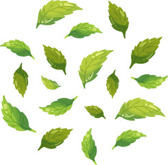 Flat style green leaves element, beauty leaf cartoon vector illustration, ecology nature elements in bright colors, tea or mint flying petals, Vegan fresh plant, energy and healthy nutrition concept