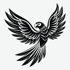 Black and white macaw parrot in flight