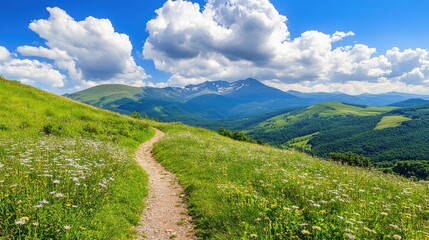 Obraz premium A nature trail leading through a rolling meadow filled with wildflowers, ascending into the sky beneath fluffy white clouds.