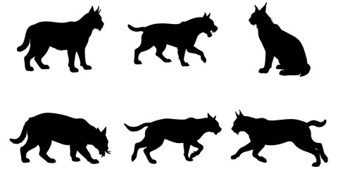 Fototapeta premium Lynx Collection Black Silhouette Vector Design