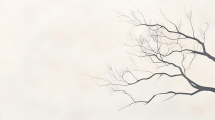 Silent dance of branches nature abstract frame minimalist environment aerial view elegance in simplicity