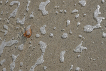 Ocean Foam Wave Bubbles on Sandy Brown Beach with brown stone Textured Background