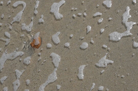 Ocean Foam Wave Bubbles on Sandy Brown Beach with brown stone Textured Background