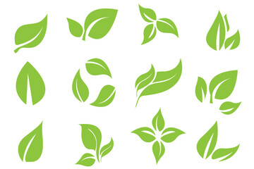 Green leaf icons set. Leaves icon on isolated background. Collection green leaf. Elements design for natural, eco, vegan, bio labels. Vector illustration. Ecology leaf element.