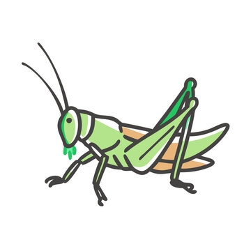 recommend clip art: grasshopper icon, grasshopper vector illustration-simple illustration of grasshopper, perfect for grasshopper logos and icons