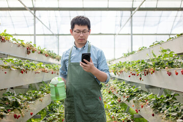 asian man in green house