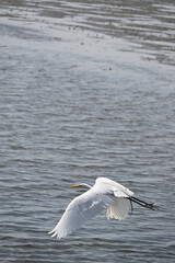 Grey Textured Fabric Background