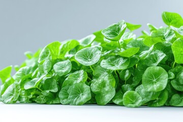 Obraz premium Lush green leaves cluster, vibrant and fresh