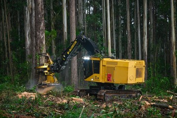 Forestry Machine Logging Equipment Timber Harvesting