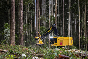 Forestry Machine Logging Equipment Timber Harvesting