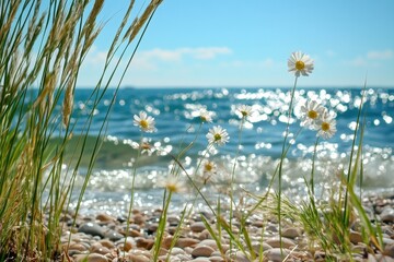 Obraz premium Coastal flowers in sunny light