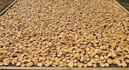 Potato Chips Drying on Net Outdoors for Food Preservation Technique