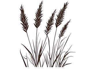 Silhouettes of Grass