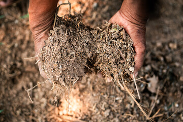 Sustainable soil management techniques agricultural fields informational guide outdoor environment close-up view environmental impact