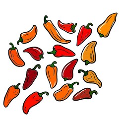 hot chili peppers. Red chili pepper. seamless pattern with peppers. chili pattern Background. vintage pepper background. pepper pattern background. chili doodle pattern background. hot chili seamless.