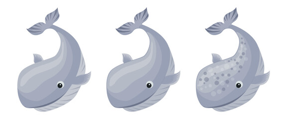 Vector cartoon ocean fish types of  cute Whale	