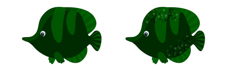 Vector ocean fish of Chaetodon Triangulum / Butterfly fish in green color