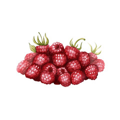 Watercolor illustration of juicy ripe raspberries in a pile. Ideal for packaging, recipes, label design, menus, tea shop and culinary projects.
