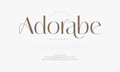 Elegant Modern Serif Font Vector for Luxury Branding and Feminine Design