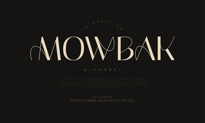 Luxury Decorative Serif Font Vector for Fashion Branding and High-End Design