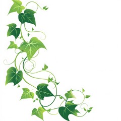 Obraz premium Green vines, clipart with white background