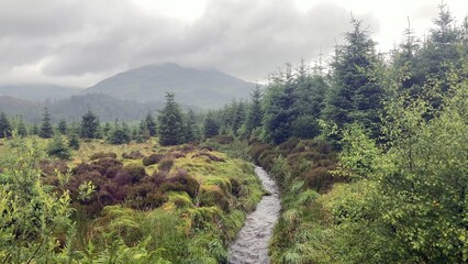 A small stream winds through the Scottish Highlands on a cloudy day. Ben Venue looms large in the background - Scotland, UK