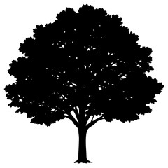 Tree and Leaf Vector Silhouette | Nature, Botanical, and Eco-Friendly Clipart