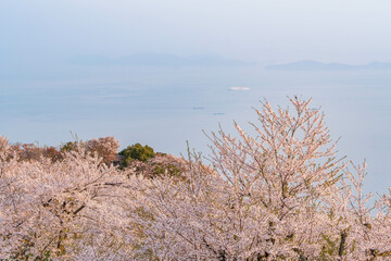 紫雲出山の絶景