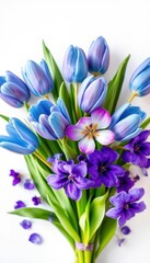 A vibrant bouquet of blue and purple tulips and violets on white, flowers, wedding, color