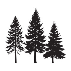 Collection of pine tree silhouettes .white Background.