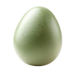 A green organic egg on a plain background  long title A simple natural green egg against a clean minimalist white background representing
