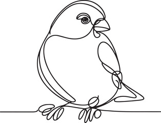 Elegant Finch Bird Vector Line Art Illustration