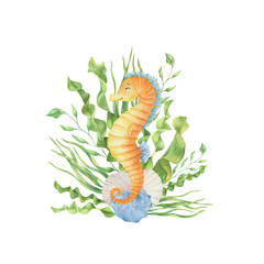 Watercolor sea animal with seaweed