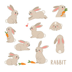 Obraz premium Cute Rabbit Set Vector Illustration Isolated.