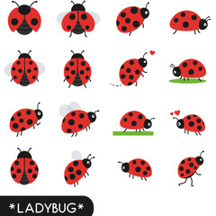 Naklejka premium Ladybug icons Insect vector set on white.