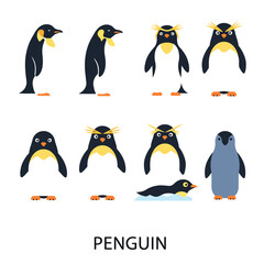 Cute Penguin Icons Arctic Animals Flat Design.