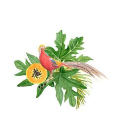 Fototapeta premium Golden pheasant papaya leafs and flowers watercolor illustration isolated on white. High quality hand drawn clip art sketch style perfect for cards, posters, book design decor. Vibrant tropical bird