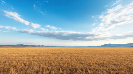 Obraz premium vast golden field stretches clear blue sky, with distant mountains creating serene landscape