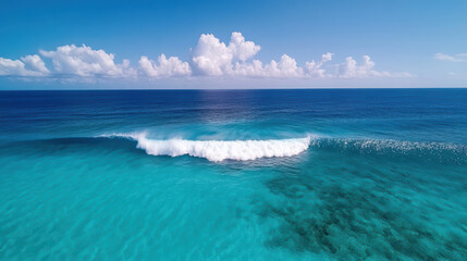 Obraz premium Aerial view of beautiful ocean wave curling over vibrant coral reef, showcasing stunning blue