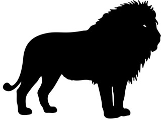 Lion Shilouette Vector Illustration