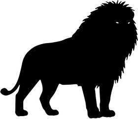 Lion Shilouette Vector Illustration