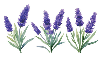 Naklejka premium Watercolor Lavender Illustration - AI Generated