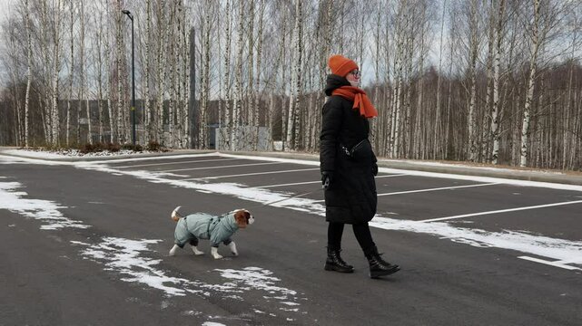 A woman walks her Cavalier King Charles Spaniel in a snowy winter landscape. The dog wears a cozy coat, and the serene surroundings highlight the beauty of the season.