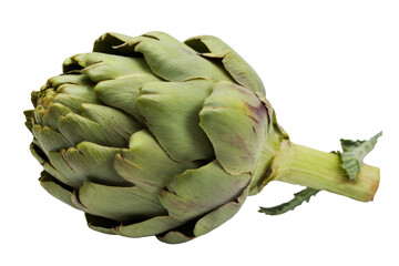 Fototapeta premium fresh green artichoke isolated on white background