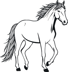 hand draw horse vector design mono color
